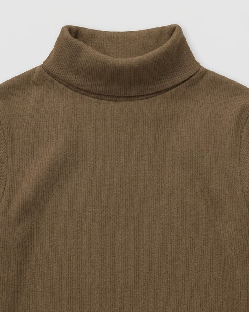 Brown Turtle Neck